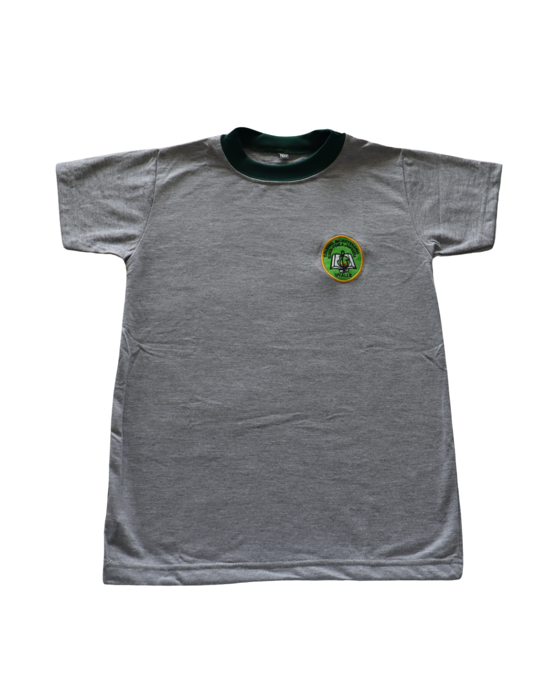 Polera Deportiva Colegio de Artes Eliseo Videla Jorquera