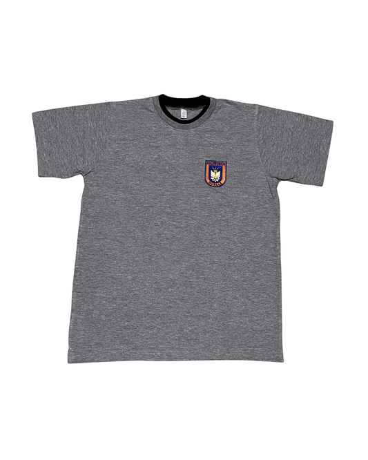 Polera Deportiva Liceo Politecnico