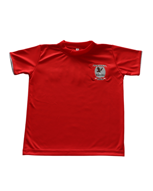 Polera Deportiva Dalmacia