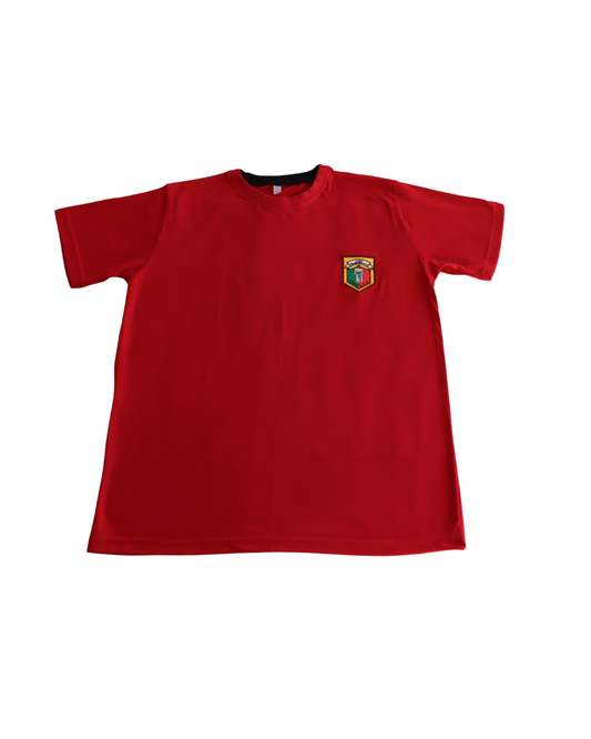 Polera Deportiva Alejandro Alvarez Jofré