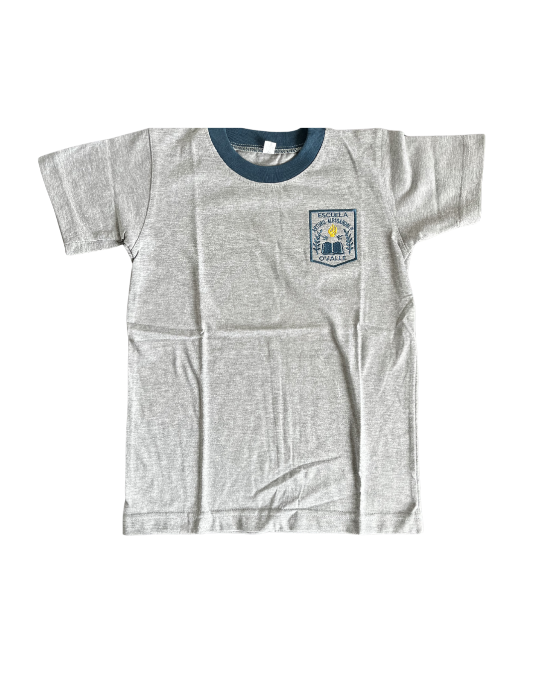 Polera deportiva Arturo Alessandri Palma